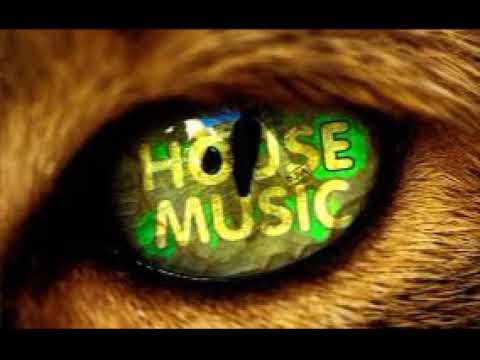 MUSIC AT HOME – back to the 1995 – Classic house music