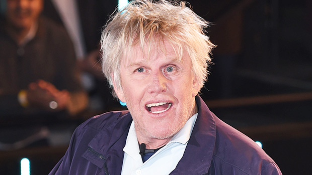Gary Busey Denies Sexual Assault Allegations In New Comments – Hollywood Life