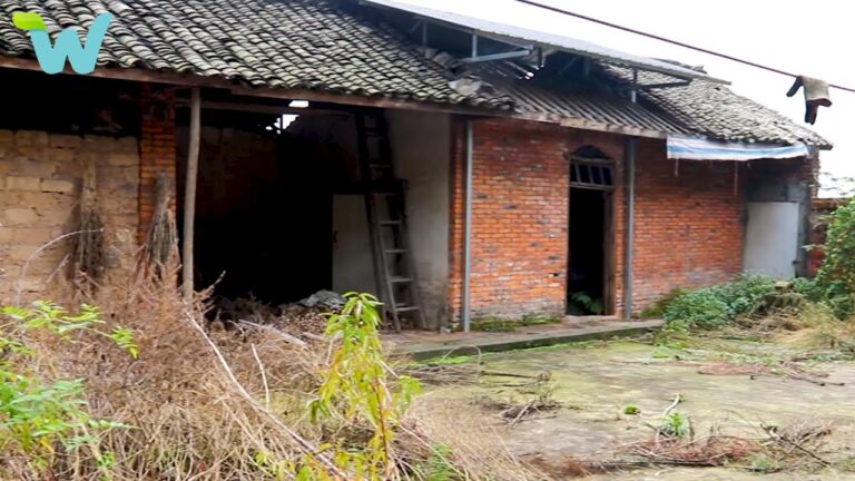 Full video : 120 days renovating old house and garden abandoned for 38 years in the countryside