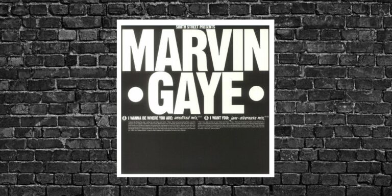 Marvin Gaye – I Wanna Be Where You Are / I Want You – Limited 180gm 12″ [South Street]